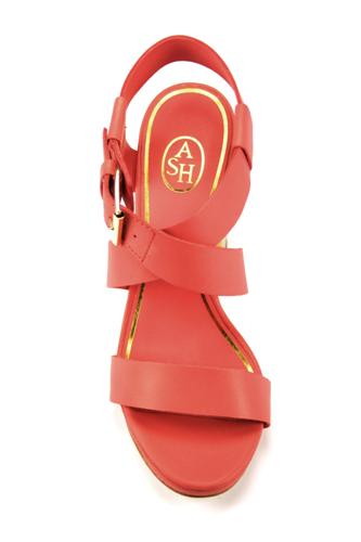 Rachel Peach Antic Gold