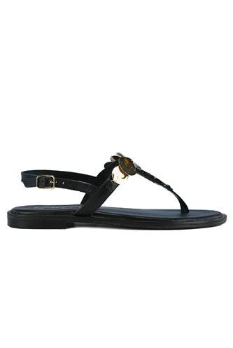 Sparta Black Leather Gold Disks, CRISTIN